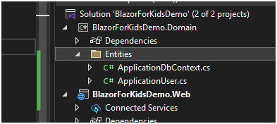 Entities folder in Domain project